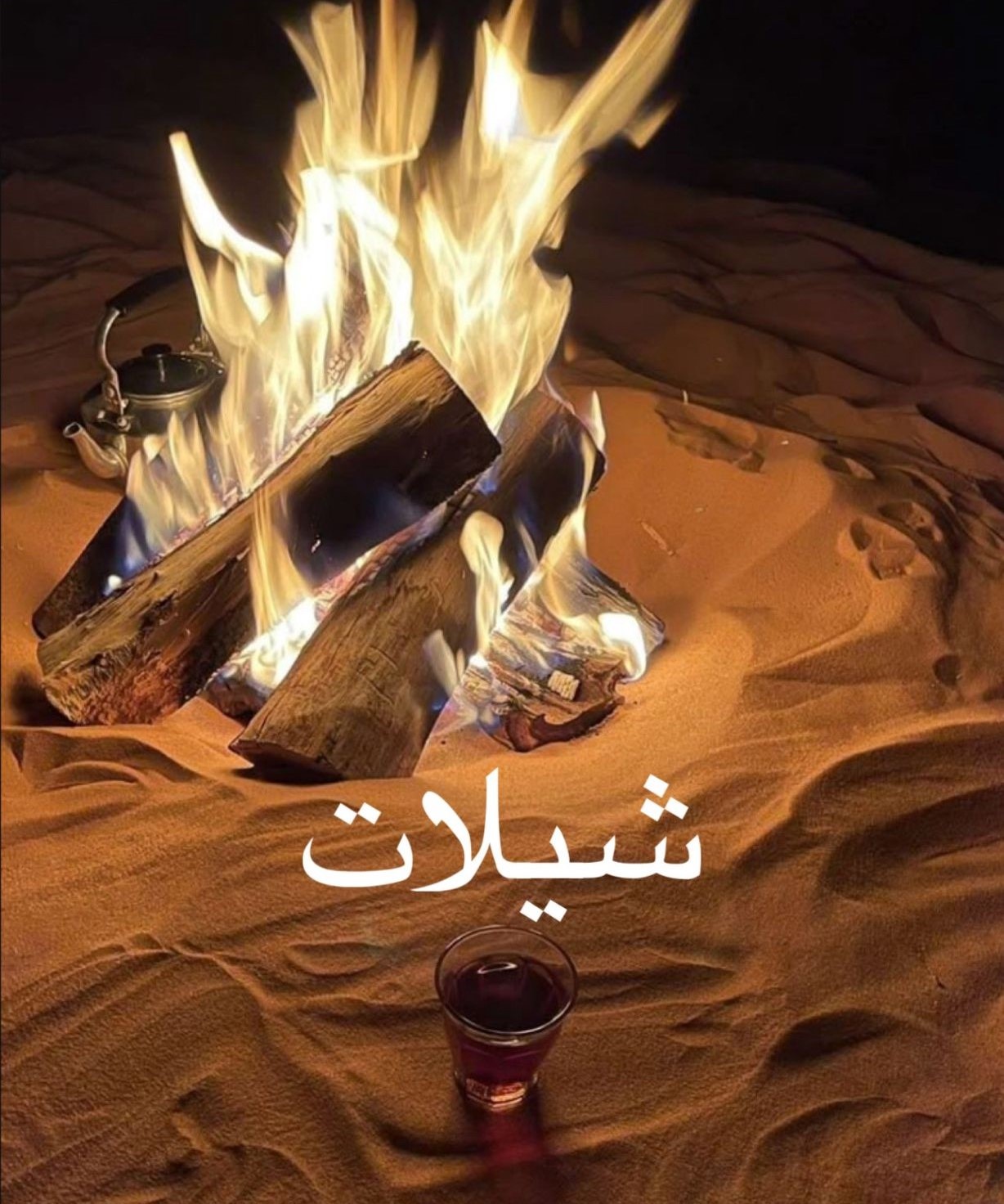  شيلات   